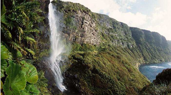 Moving About In New Zealand As A Tourist